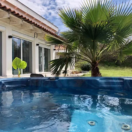 Borbara Pazmandfalu